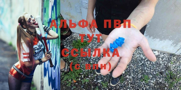 ГАЛЛЮЦИНОГЕННЫЕ ГРИБЫ Белоозёрский