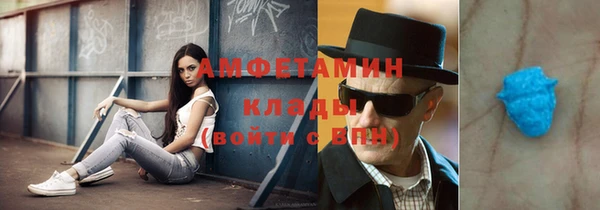 шишки Беломорск