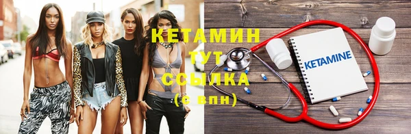 шишки Беломорск