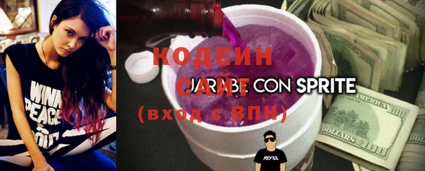 шишки Беломорск