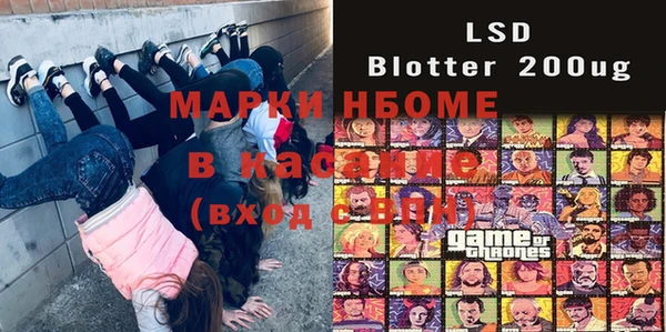шишки Беломорск